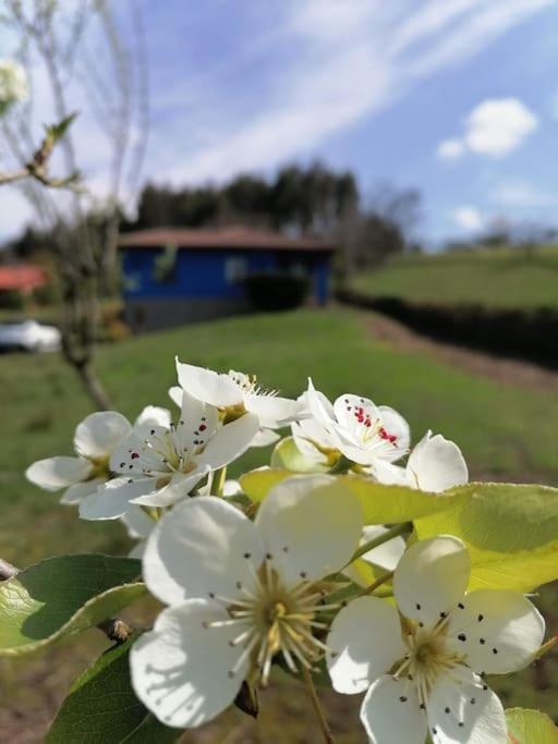 Hébergement de vacances La Casa Azul De Lua Un Lugar Magico *