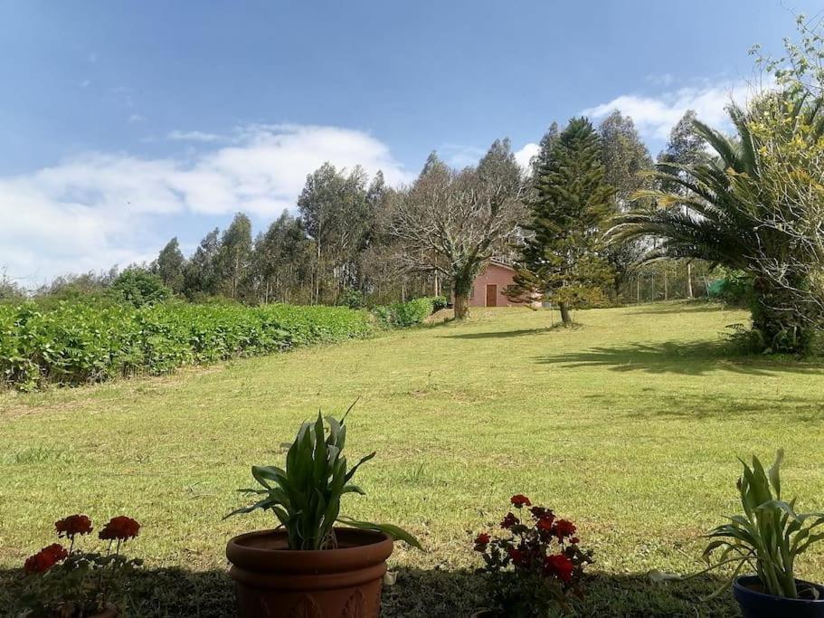 Hébergement de vacances La Casa Azul De Lua Un Lugar Magico