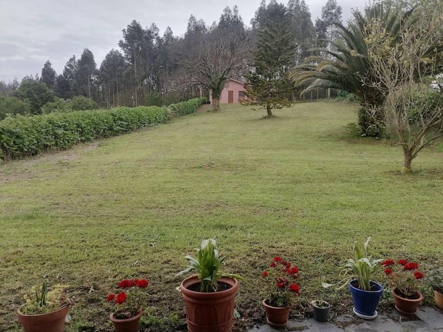 Hébergement de vacances La Casa Azul De Lua Un Lugar Magico Juncedo