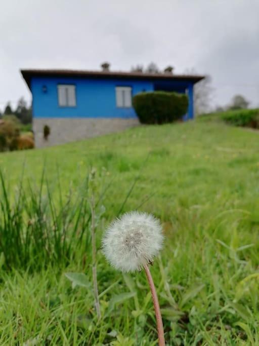 Hébergement de vacances La Casa Azul De Lua Un Lugar Magico